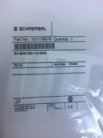 Schmersal-EX-BNS 250 -11Z-3G/D - 1